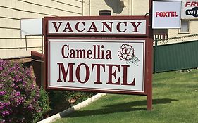 Camellia Motel